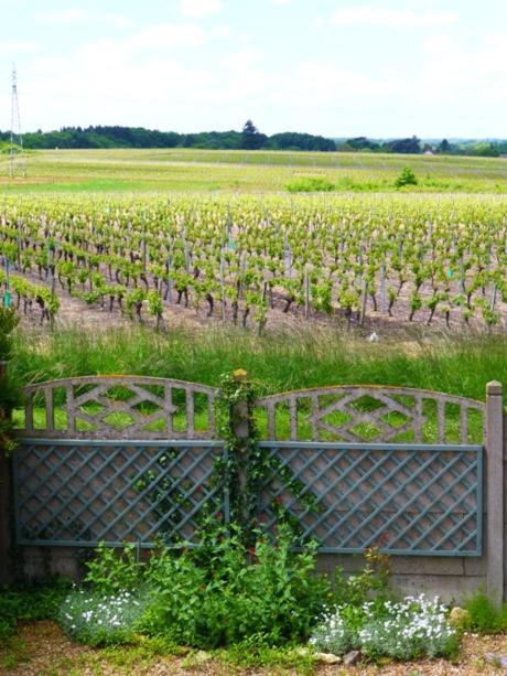 Domaine De La Chapelle - Ch D'hote Faverolles-sur-Cher